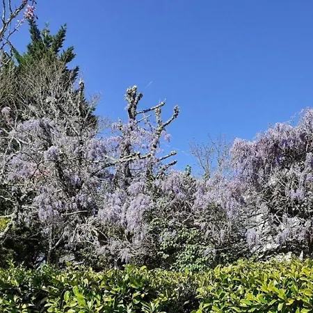 Le Des Couderches Plazac