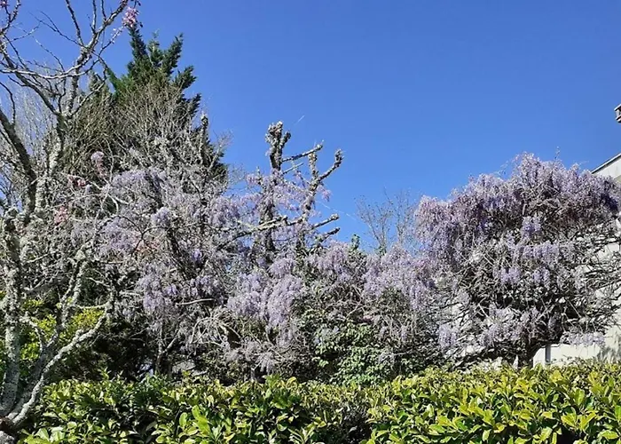 Le Des Couderches Plazac